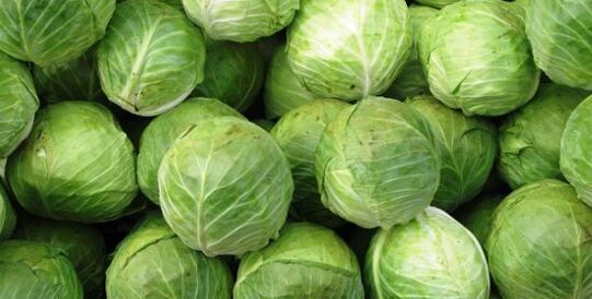 cabbage to compress for knee arthrosis