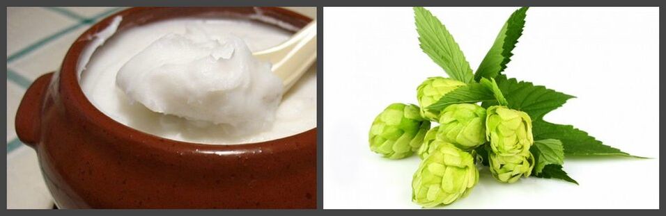 Hops and lard for the preparation of medicinal ointments for osteochondrosis